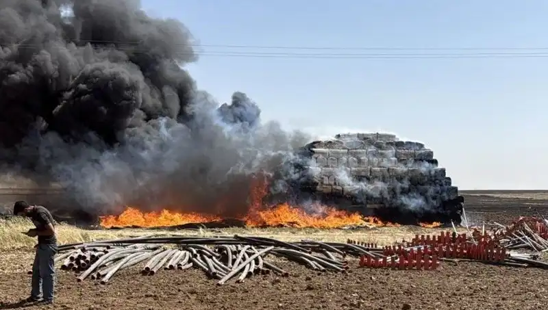 Mardin’deki Anız Yangını, Doğayı Tehdit Altında Bıraktı!