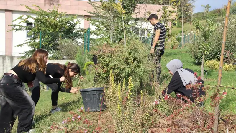 Düzce’nin Yükselen Yıldızı: Hayalini Gerçeğe Dönüştüren Girişimci
