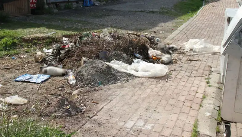 Antalya'da Gizemli Kedi Ölümleri: Vahşetin Arkasındaki Gerçek Ne?