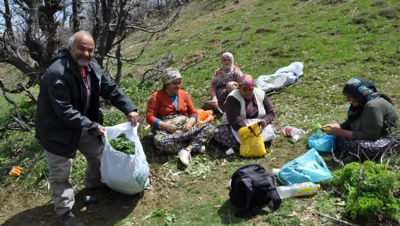 Yüzlerce Ailenin Geçim Kaynağı: Yürüyerek Toplanan Doğal Madenler