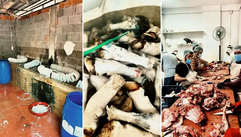 Adana'da Şok Eden Olay: Yüzlerce Kilo Paça Ele Geçirildi!
