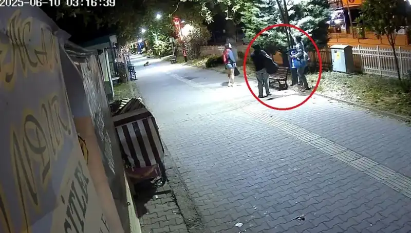 Aydınlatma Direklerindeki LED Işıkları Sökerek Şehirdeki Zararı 300 Bin TL’ye Çıkardı