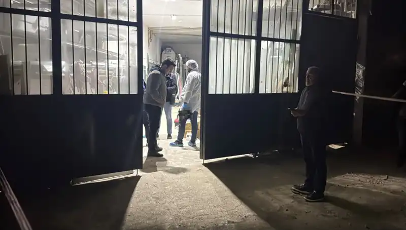 İş Yerinde Gerçekleşen Korkunç Cinayet: Olayın Ardındaki Karanlık Gerçekler