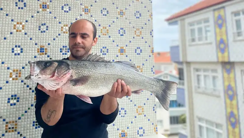 7,5 Kiloluk Dev Levrek Avı: Balıkçılar Şehrin Gözdesi Oldu