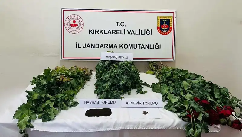 Kırklareli'nde Uyuşturucu Operasyonu: 8 Gözaltı, Madde İhtiyaç Hızla Artıyor