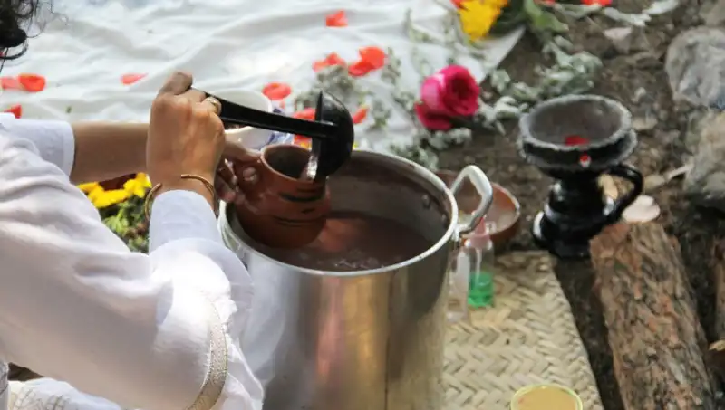 Ayahuasca: Gizemli Şifa Bitkisi ve Yasal Durumu Üzerine Her Şey