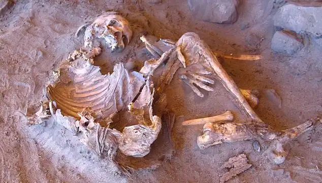 Yeni Mumya Keşfi: İnsanlığın Soy Ağacı Yeniden Şekilleniyor