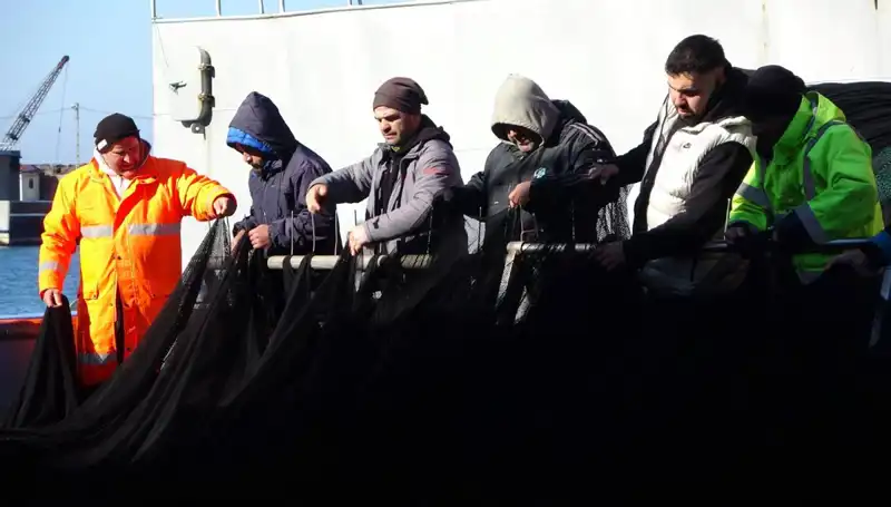 Denizlerde Hamsi Avı Sonlandırıldı: Balıkçılar Erken Paydos Etti