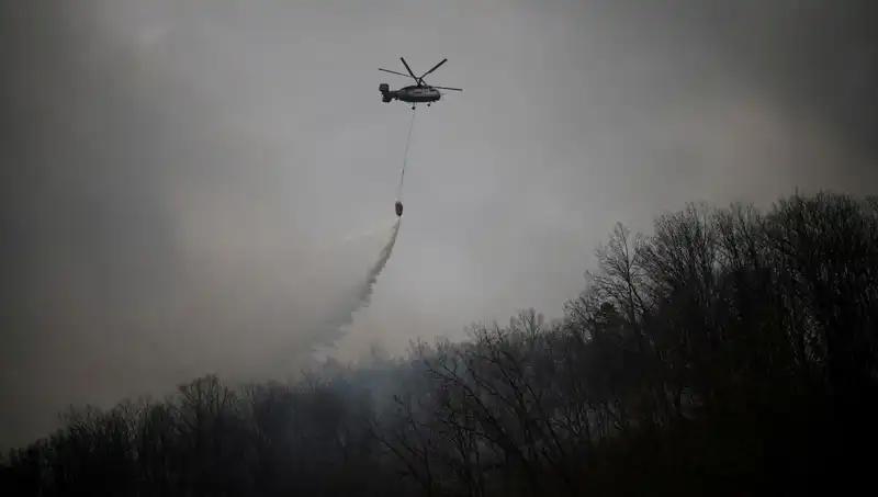 Güney Kore'de Yangın Söndürme Helikopteri Düşüşü: 1 Kayıp Can
