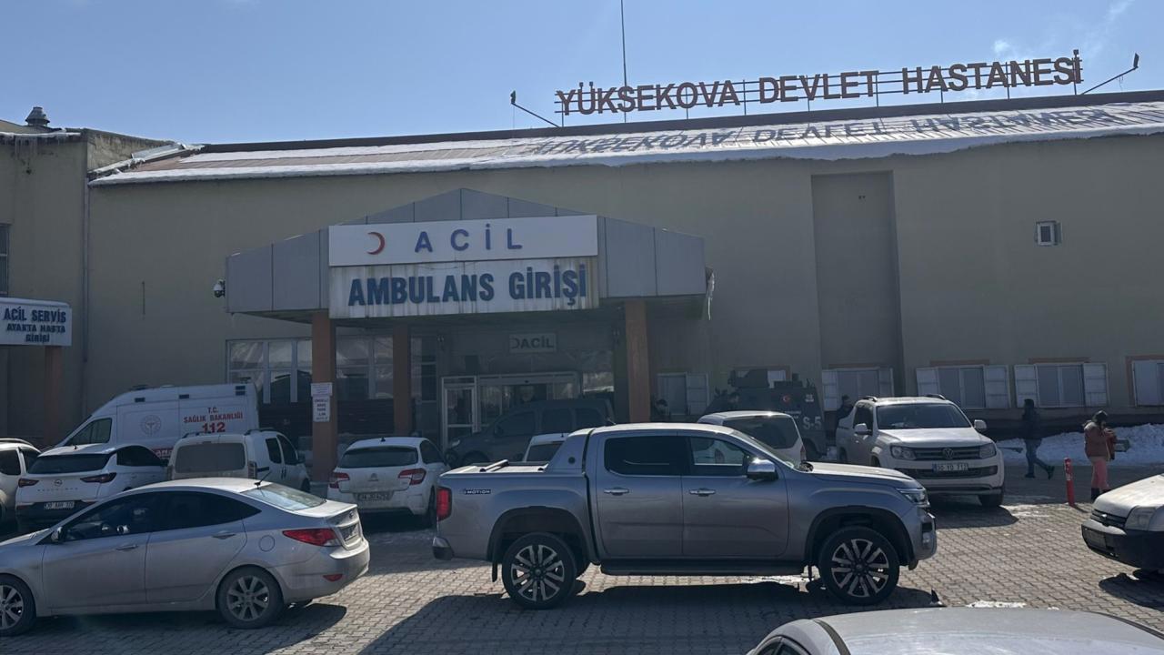 Hakkari'de başıboş köpeklerin saldırdığı çocuğu öldü